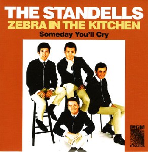 Zebra in the Kitchen