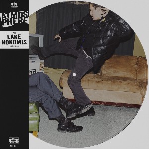 The Lake Nokomis (Picture Disc)