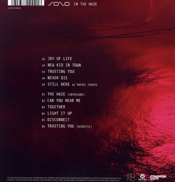 In The Haze (LP)