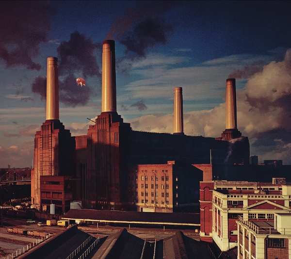 Animals (Remastered)