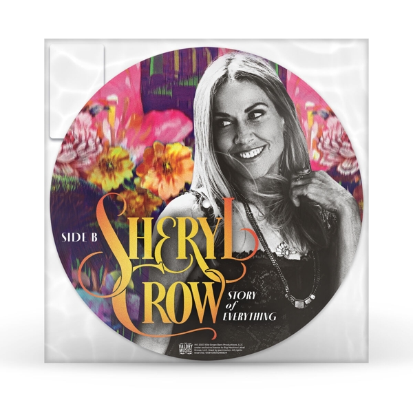 Story Of Everthing (Picture Vinyl)