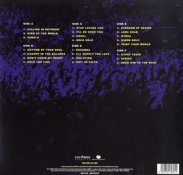 Falling In Between Live (3LP)