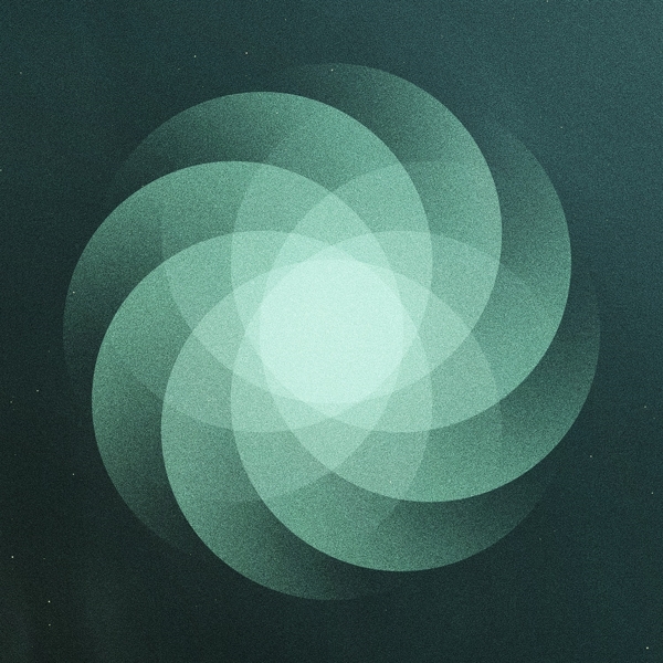 THE SHAPE OF EVERYTHING (Black Vinyl)