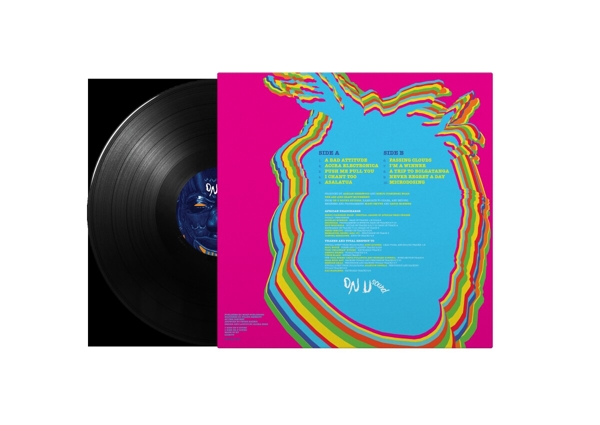A Trip To Bolgatanga (Black Vinyl LP+Poster)