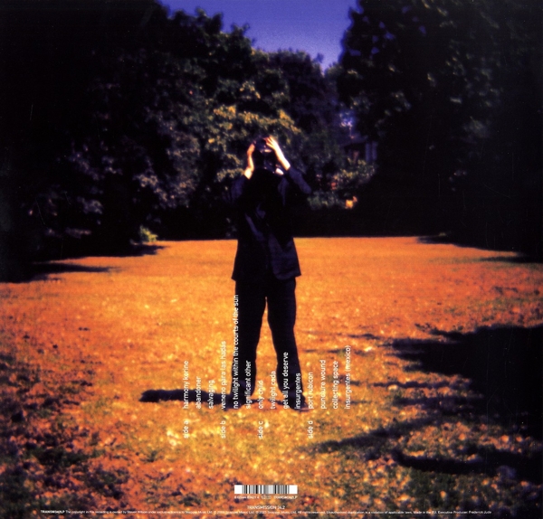 Insurgentes (Gatefold Black 2LP)