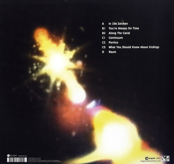 Raum (Gatefold Black 2LP)
