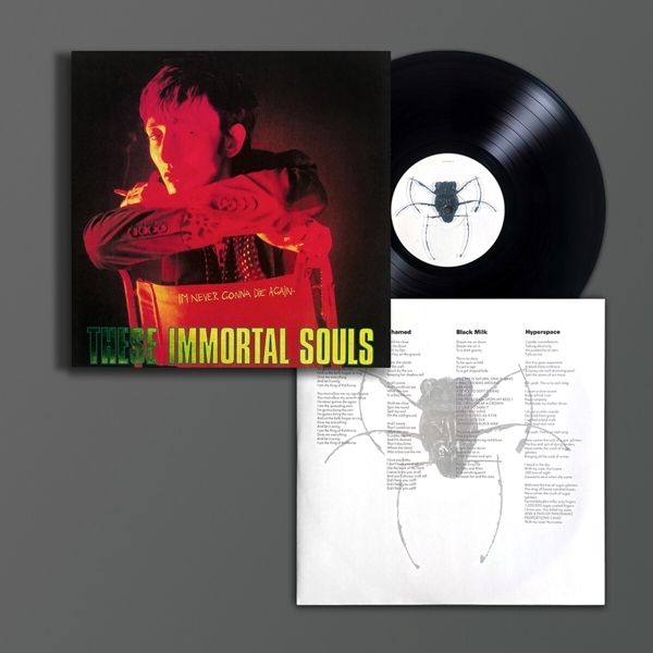 I'm Never Gonna Die Again (Ltd. LP)