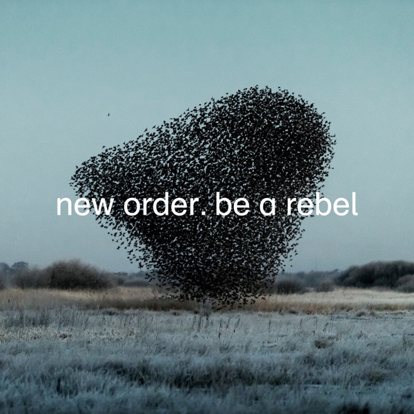 Be A Rebel (Ltd.Ed.) (12"EP+MP3) (Grey Vinyl)