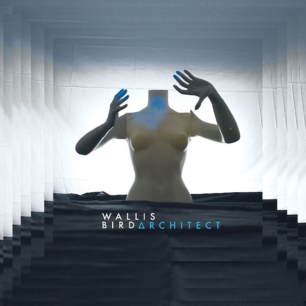 Architect (Deluxe Vinyl + 2CD)