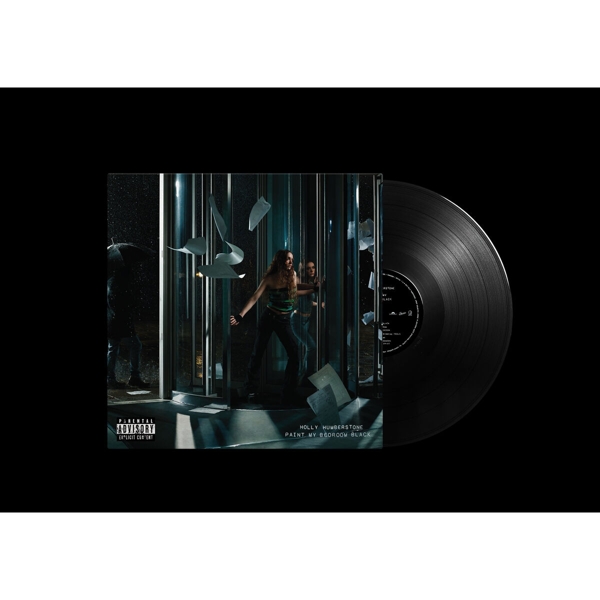 Paint My Bedroom Black (Std. Black Vinyl)