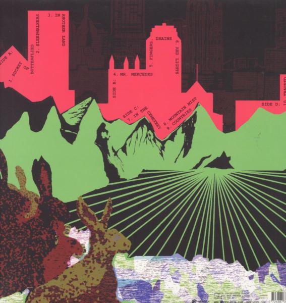 THE CURIOUS CITY