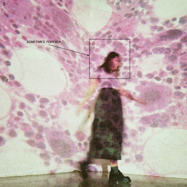 Sometimes, Forever (Vinyl)