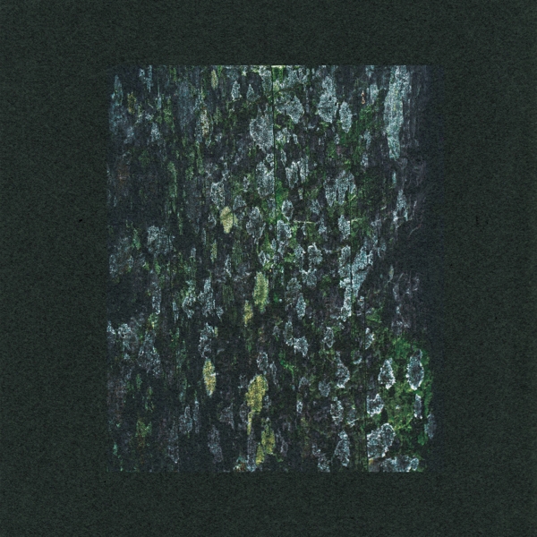 The Walker/Kilter-Remixes