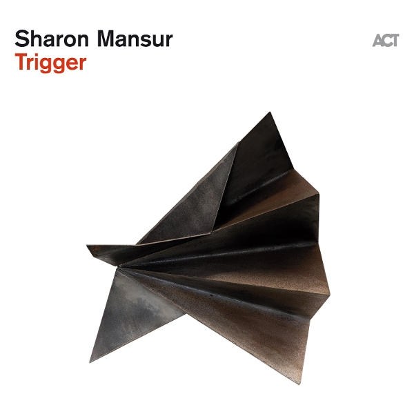 Trigger (180g Black Vinyl)
