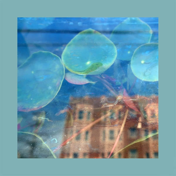 Acknowledge Kindness - Ltd Subconscious Window Pane LP