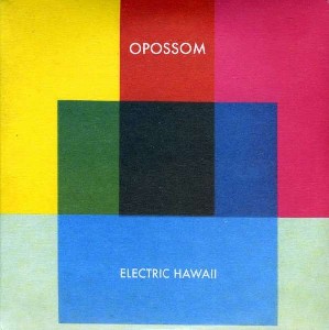 Electric Hawaii