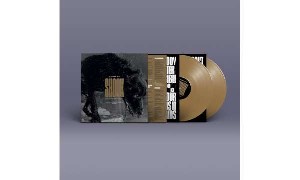 Shook - Strictly Limited Gold Coloured Vinyl Edition