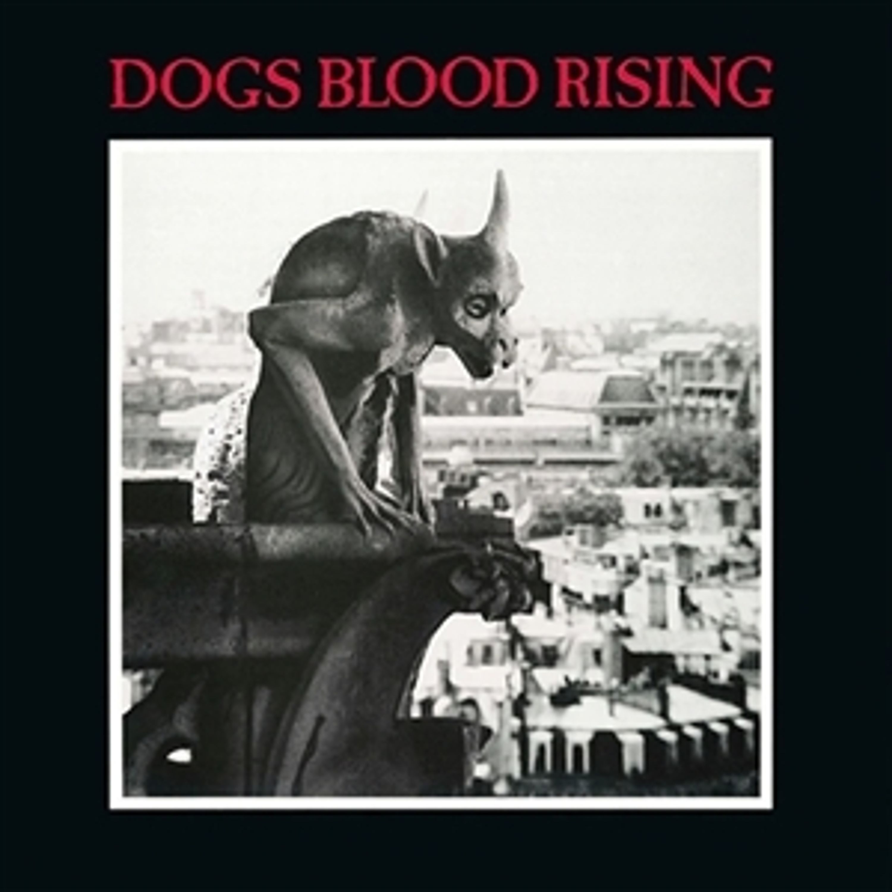 Dogs Blood Rising