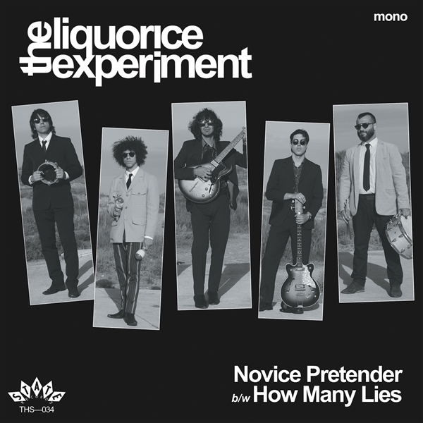 Novice Pretender/How Many Lies