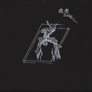 Dives To The Deep End