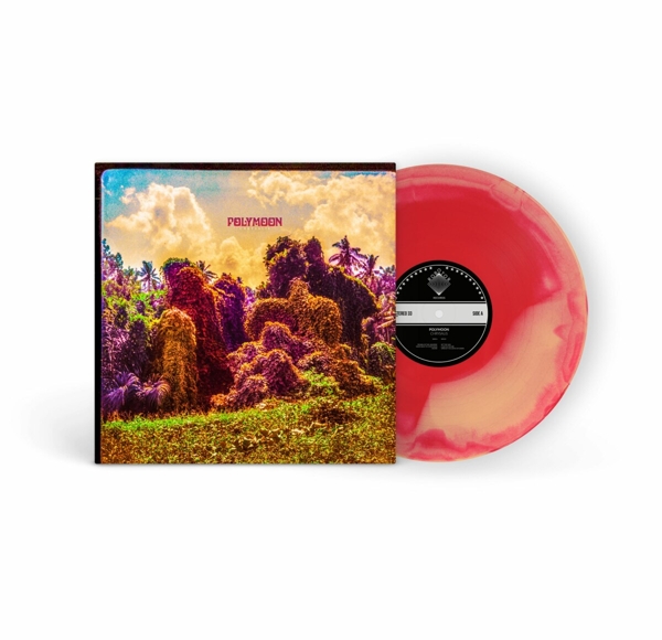 Chrysalis (Ltd. Col. LP)