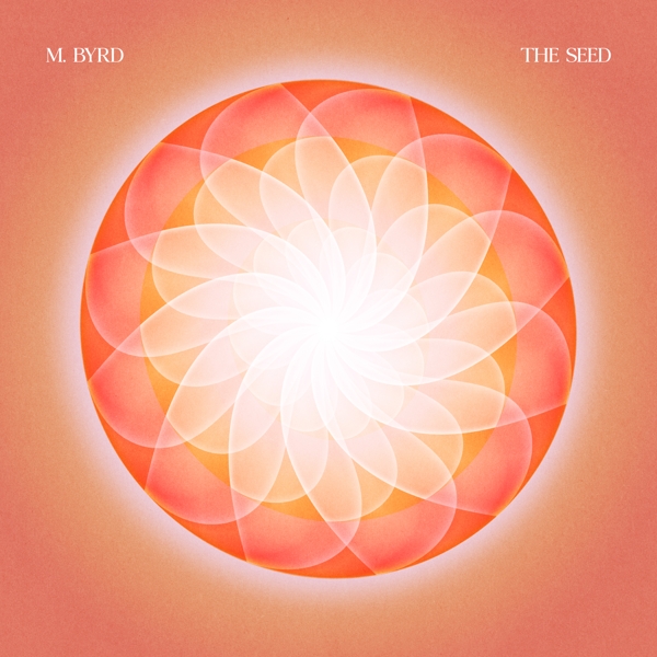 Seed