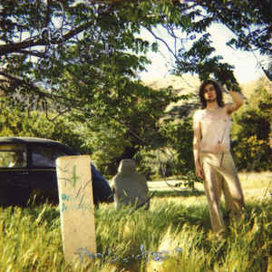 The Doldrums (2LP)