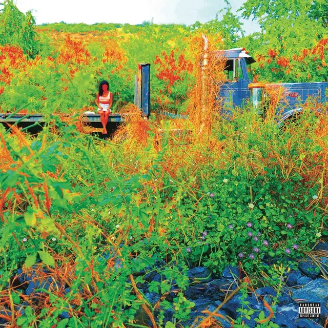 Trip (Picture Disc) (RSD 2026)