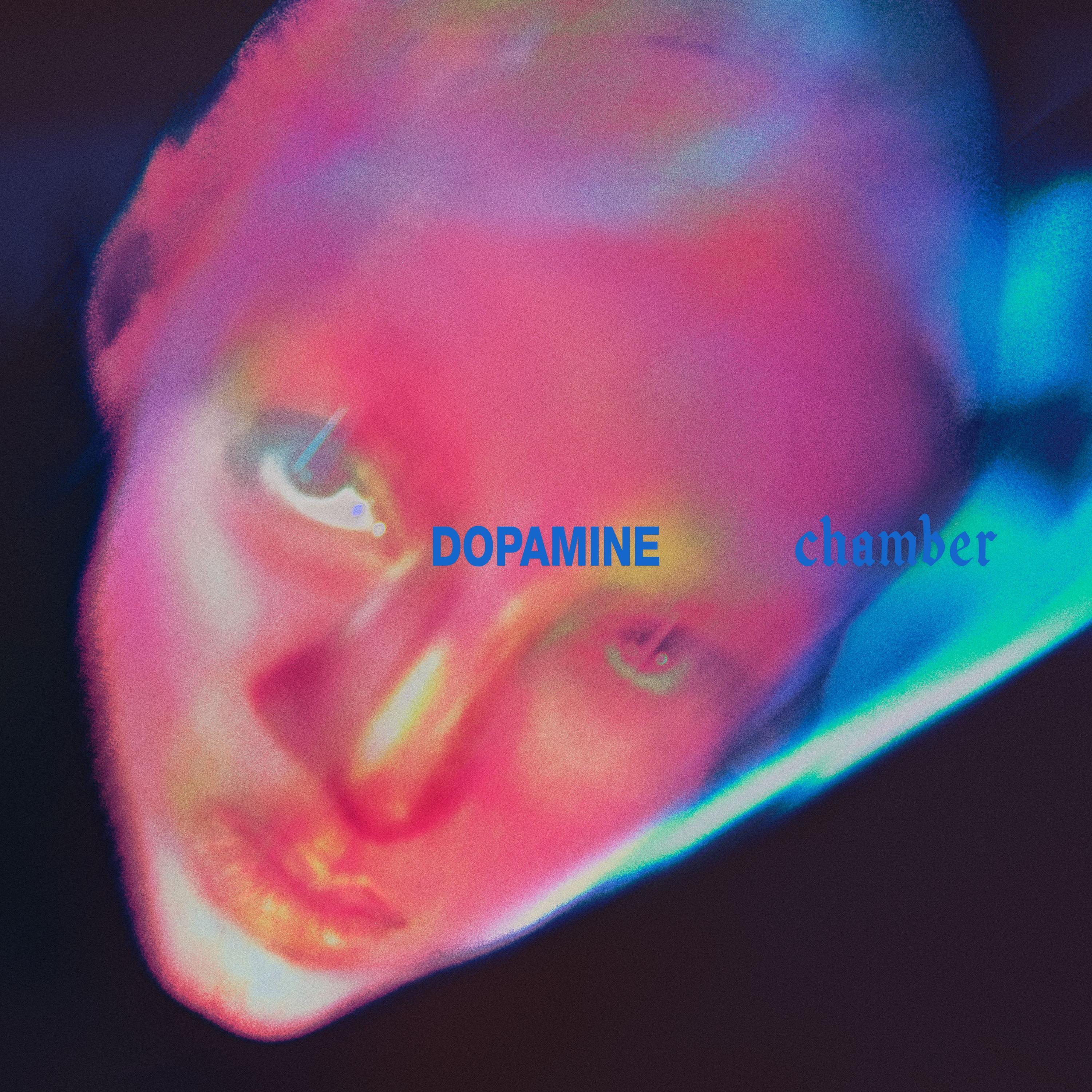 0191404167311 Fontaines DC Dopamine Chamber