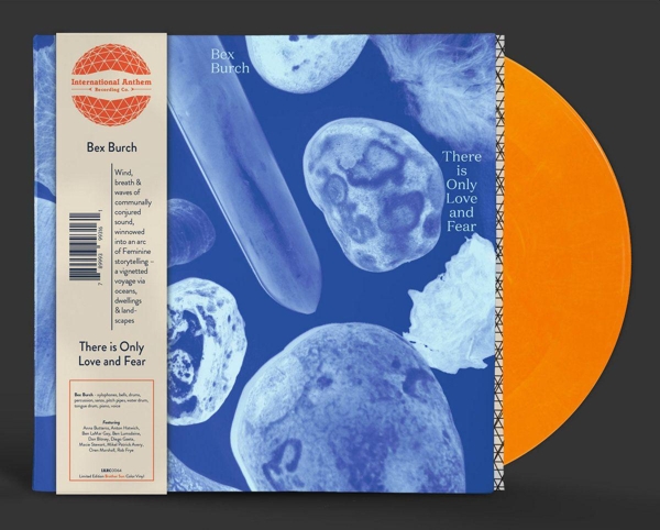 There Is Only Love and Fear (Orange Colored)