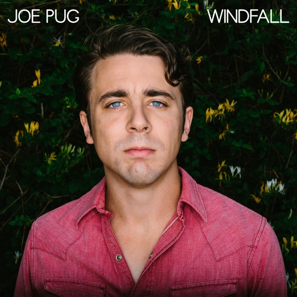 Windfall (LP+MP3)