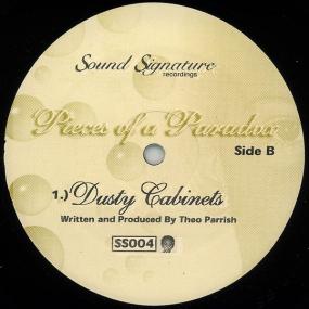 PIECES OF A PARADOX
