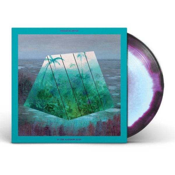 In The Rainbow Rain Ltd.(LP+MP3)