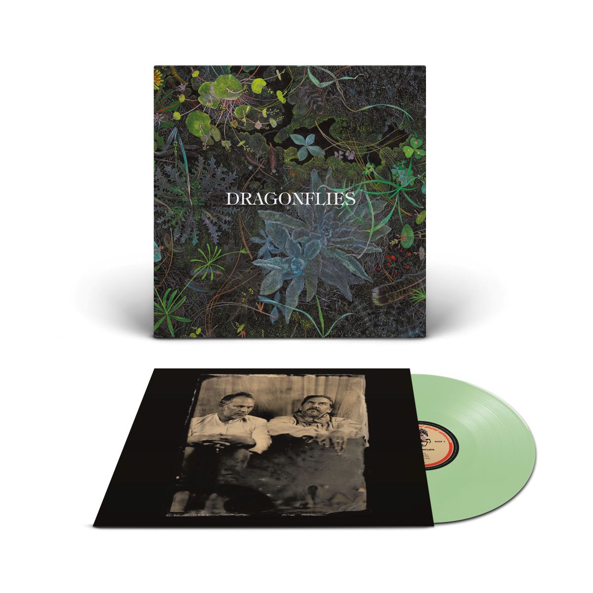Dragonflies (Specialist Coke Bottle Clear LP)