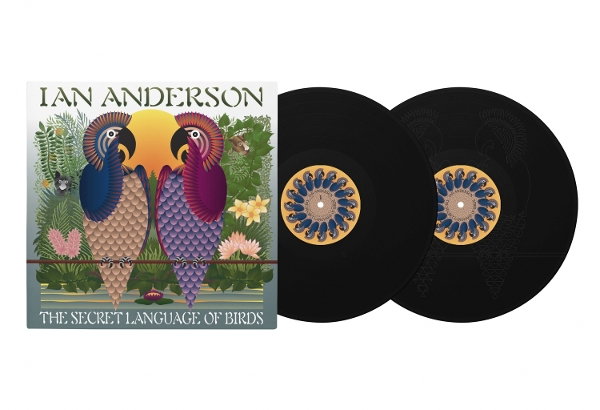 The Secret Language Of Birds (Black Vinyl 2LP)