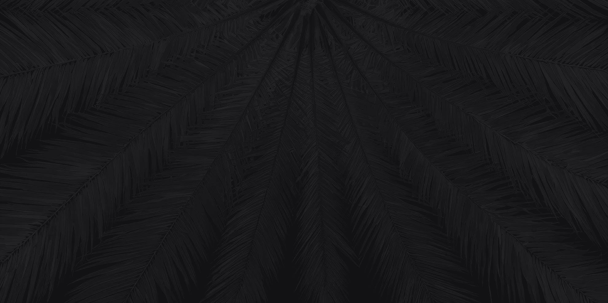 header-bg header-bg