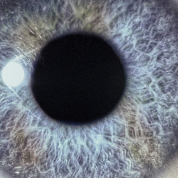 Moontower (Re-issue, transp. light blue LP)