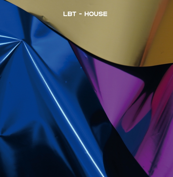 House (10")