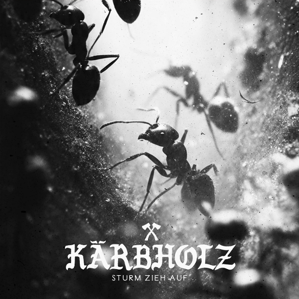 Sturm zieh auf (Ltd Black Liquid Vinyl With Ants)