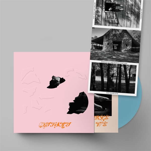 THE LAND IS INHOSPITABLE AND SO ARE WE (Col. Vinyl
