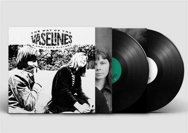 The Way of the Vaselines - A Complete History