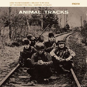 Animal Tracks Animal Tracks