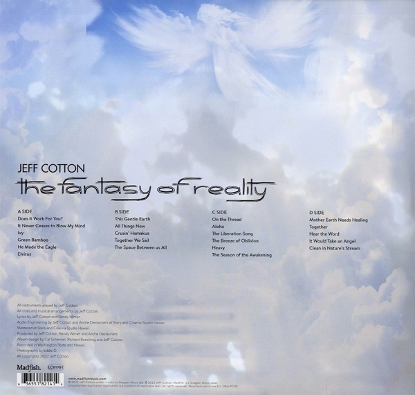 The Fantasy Of Reality (Gatefold Black 2LP)