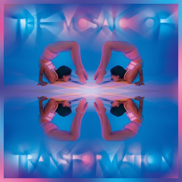 The Mosaic of Transformation (LTD. Transparent Edi