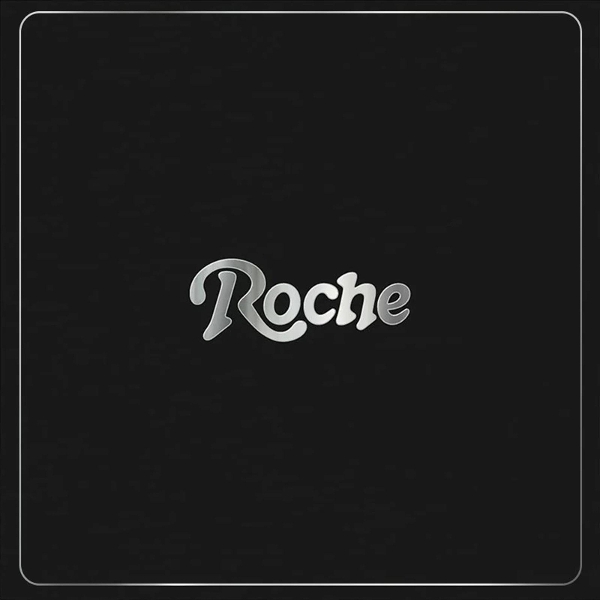 Back To The Groove - Roche Musique