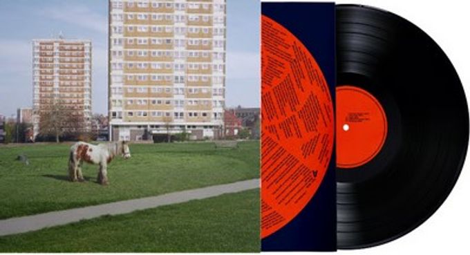 It Goes On (LP)