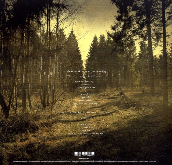 Grace For Drowning (Gatefold Black 2LP)