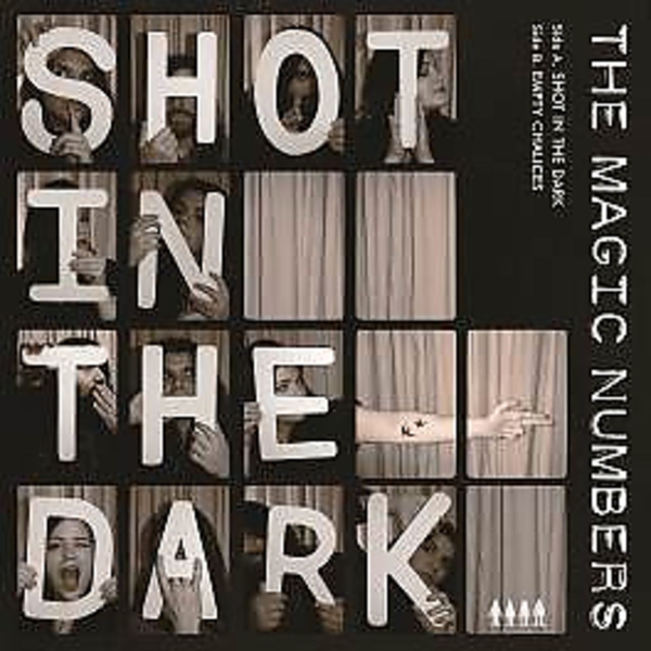 A Shot In The Dark