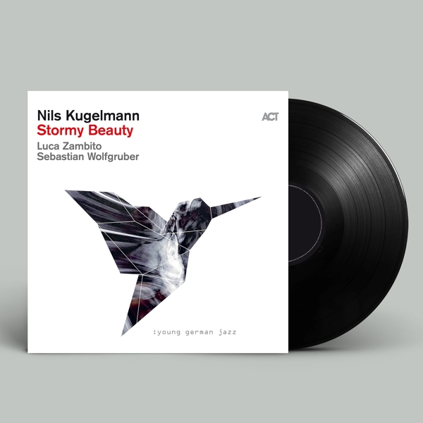 Stormy Beauty (Black Vinyl)