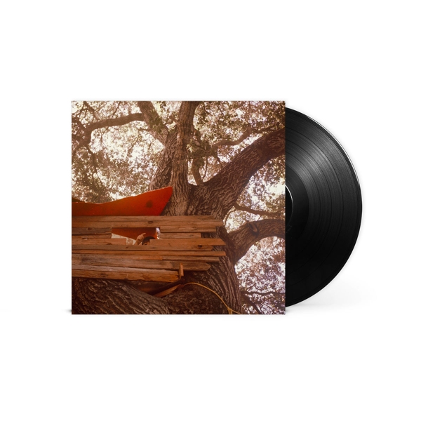Waiting to Spill (Vinyl)